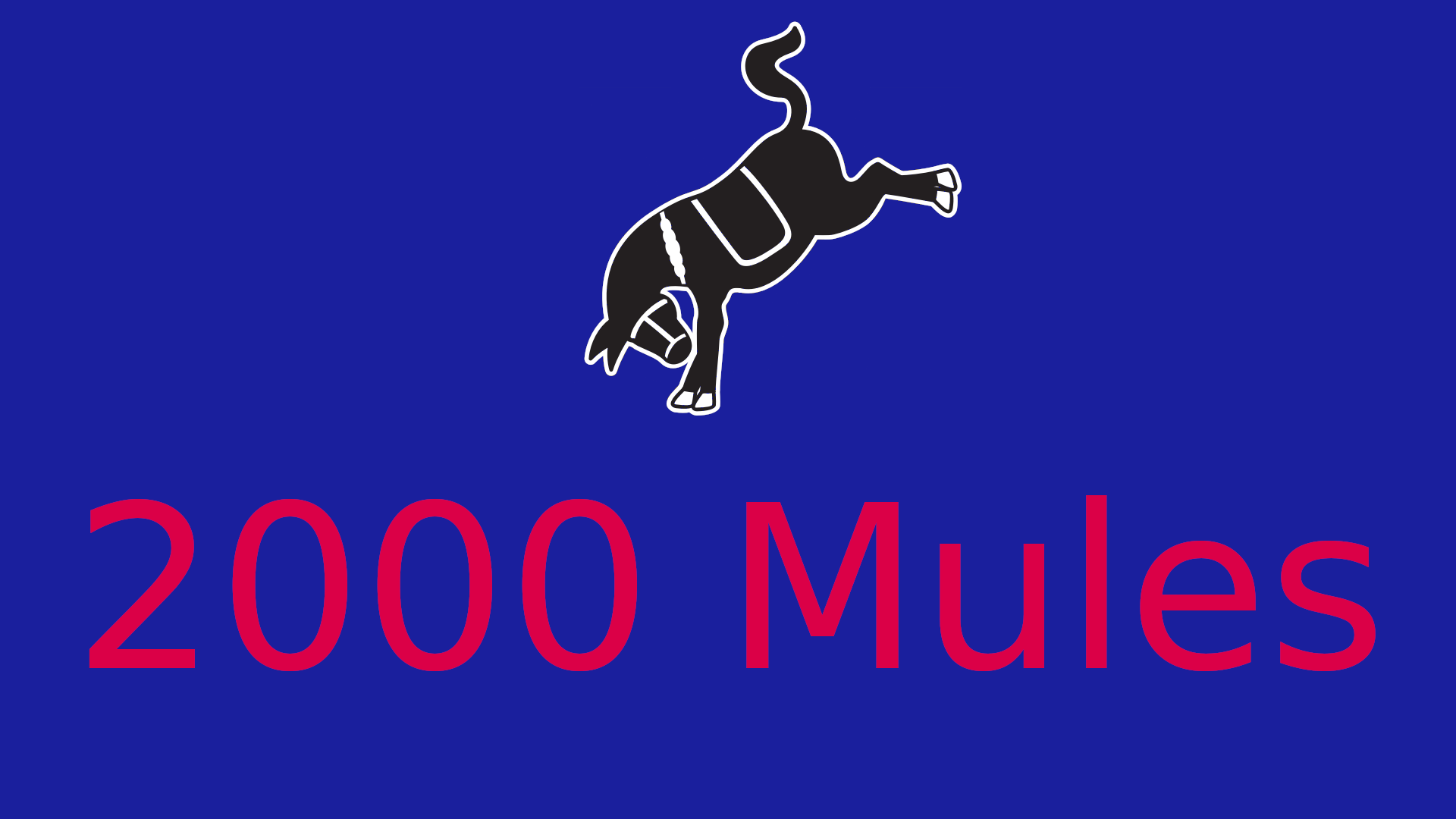 2000 mules